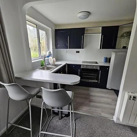 Entire Spacious Modern One Bedroom House Apartment