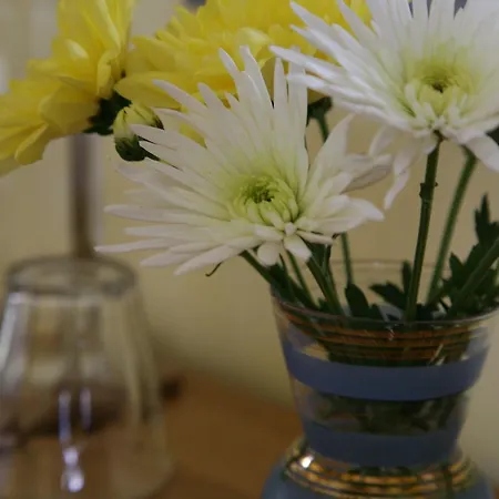 Meadowbank House Bed & Breakfast