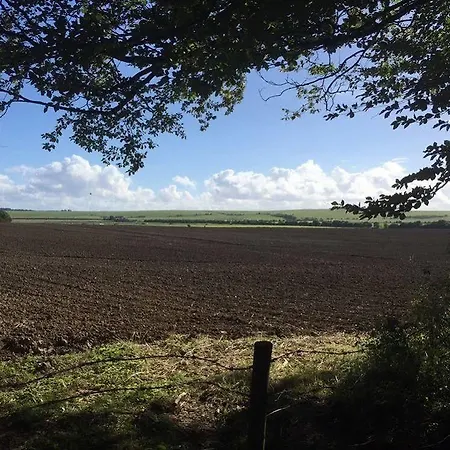 Helen Browning's Royal Oak Pensão Swindon
