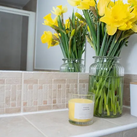 Yellow Haven Spacious Quiet Free Parking Sleeps 7 Apartment