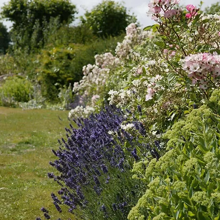Bed & Breakfast Overtown Manor Swindon