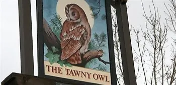 Inn The Tawny Owl